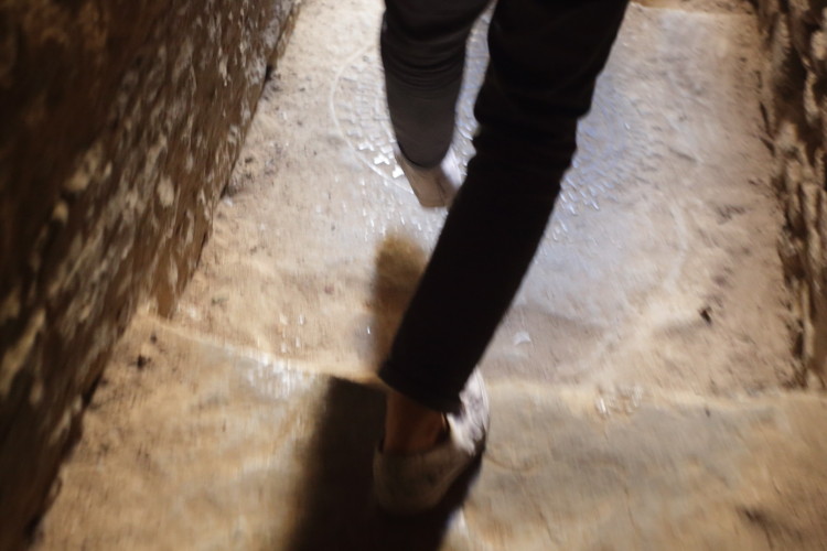 Art-Basel-Miami-2015-7