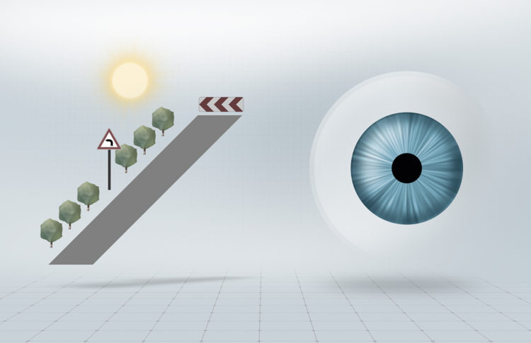 zeiss-drivesafe-lenses-4