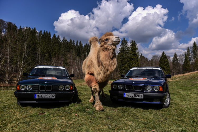 Allgäu Orient 2017: BMW Team 5ever starts in the E34 5 Series Touring