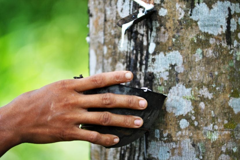 BMW Becomes First Car Maker to Use Sustainable Tires