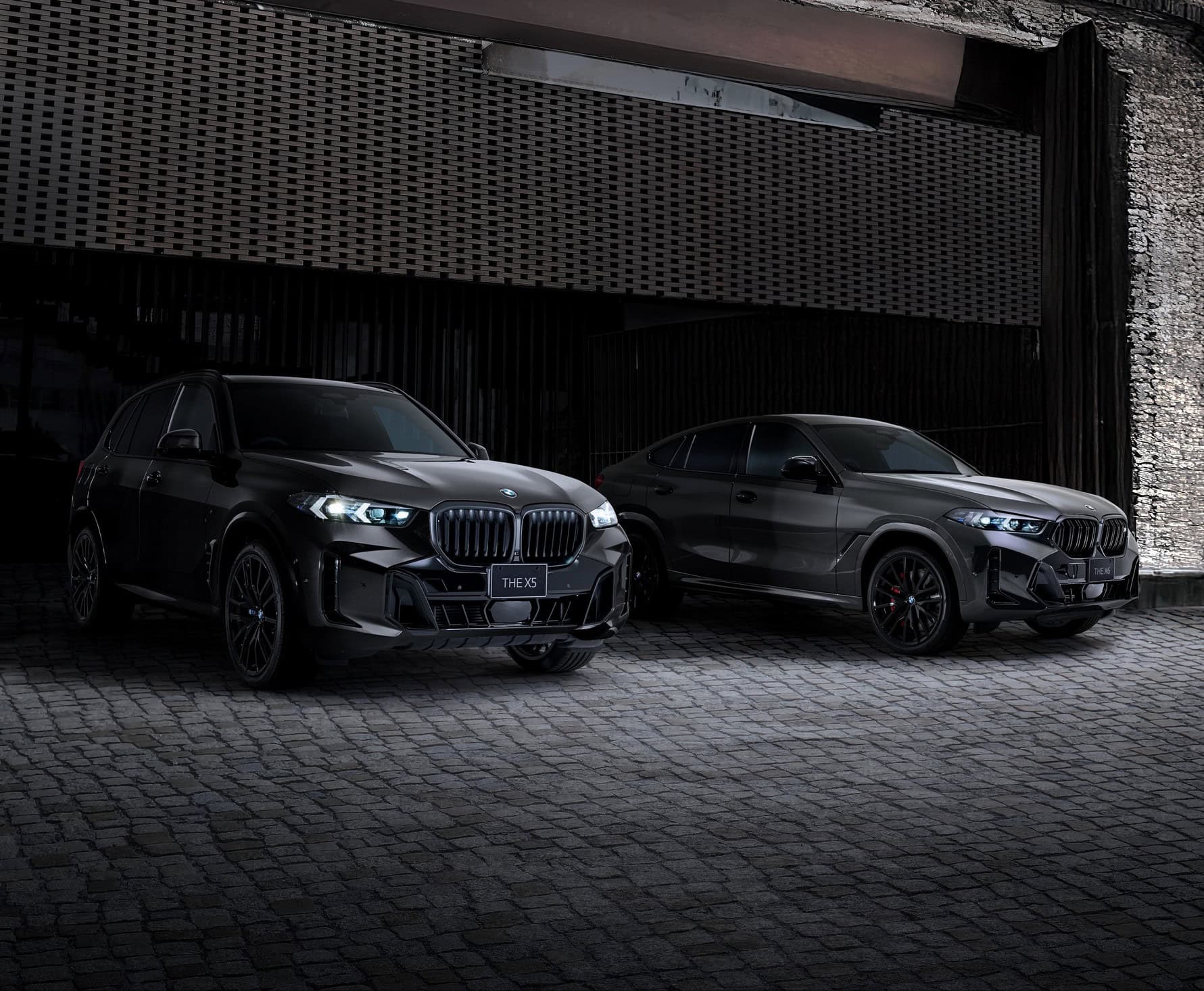 BMW X5 AND X6 SHADOW EDITION FOR JAPAN 1