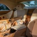 ROLLS ROYCE SPECTRE BAILEY 6