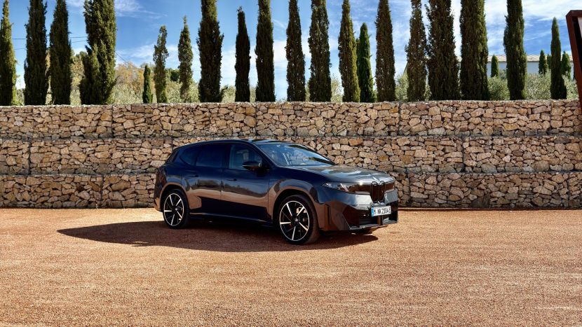 POLARIZED GREY BMW IX3 03