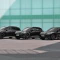 MINI BLACKYARD 15