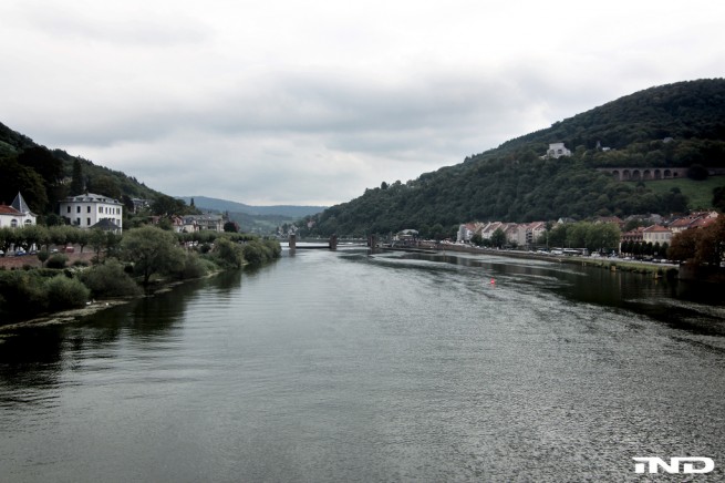 6185470191_6c542936de_b