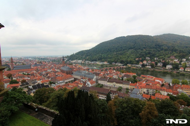 6185480167_5743843689_b