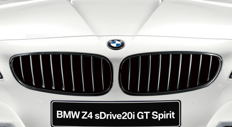BMW Z4 sDrive20i GT Spirit-10