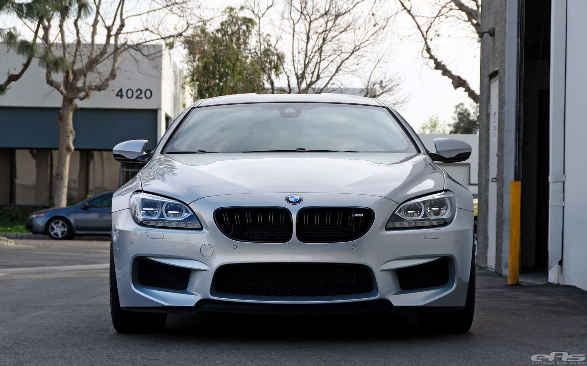 Moonstone Metallic BMW F13 M6 Tuned At EAS